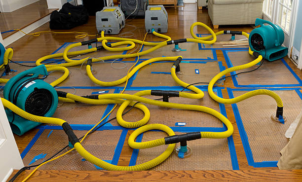 Professional Water Extraction technician working in Pax, WV